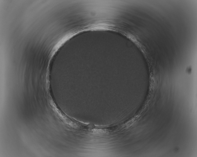 X0000115321469200911301547