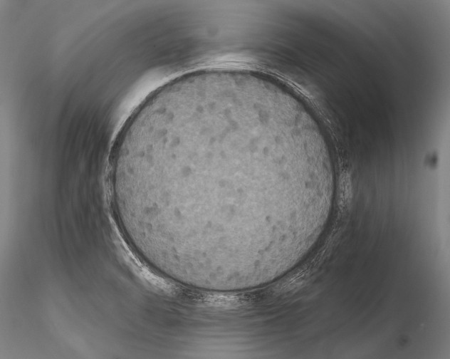 X0000115321470200911301547