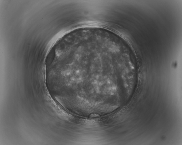 X0000115321472200911301547