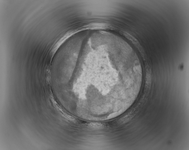 X0000115321473200911301547