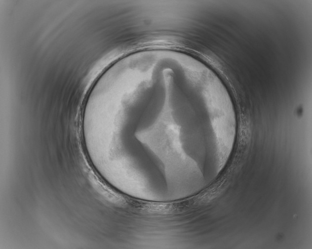 X0000115321474200911301547