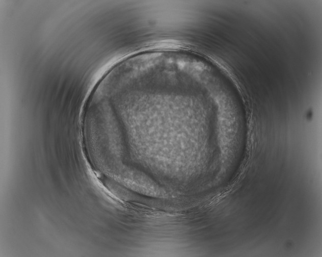 X0000115321475200911301547