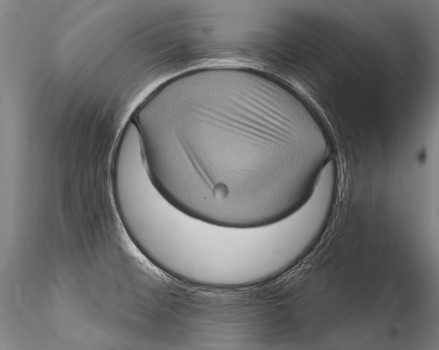 X0000115321476200911301547