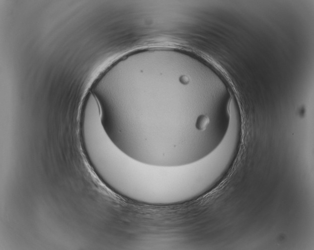 X0000115321477200911301547