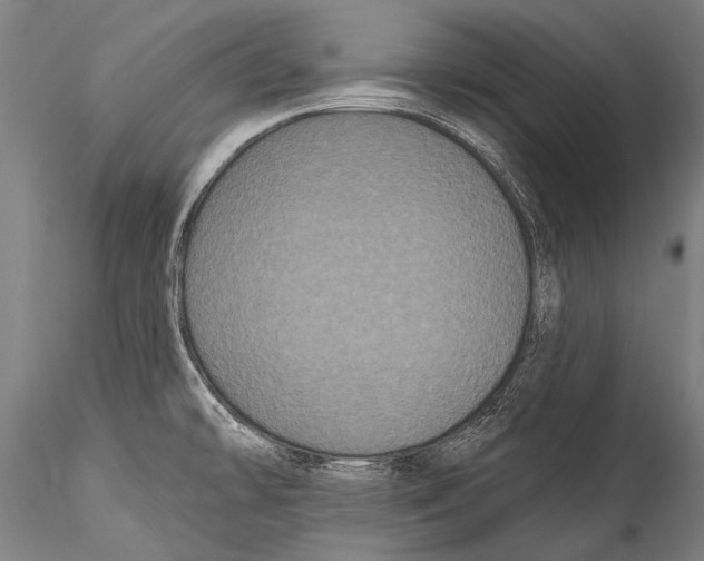 X0000115321478200911301547