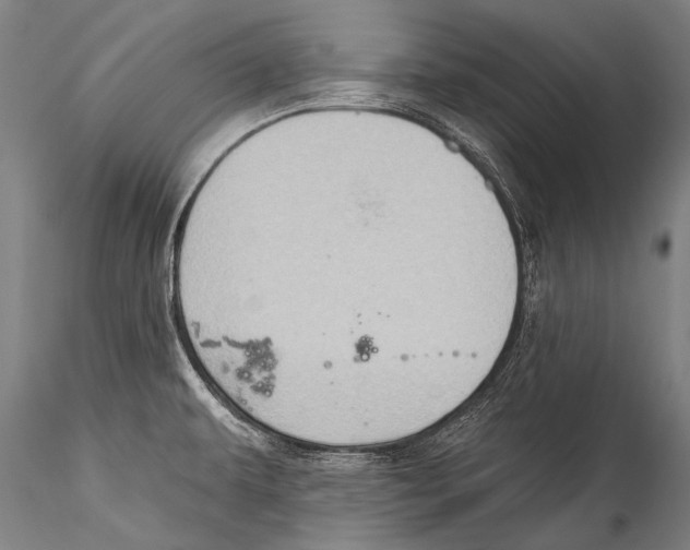 X0000115321479200911301547