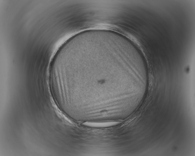 X0000115321480200911301547