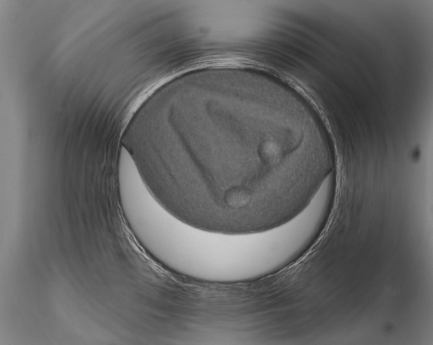 X0000115321481200911301547