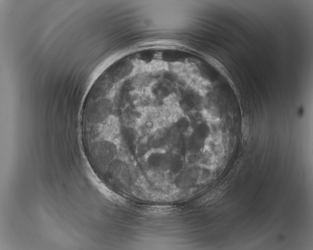 X0000115321482200911301547