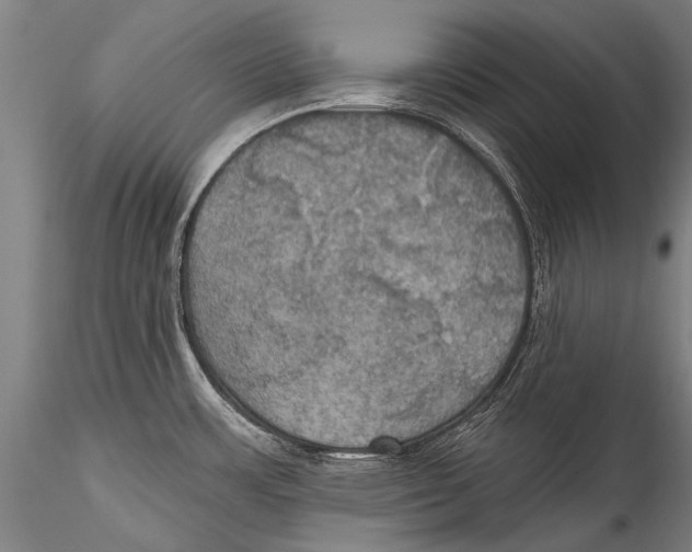 X0000115321483200911301547