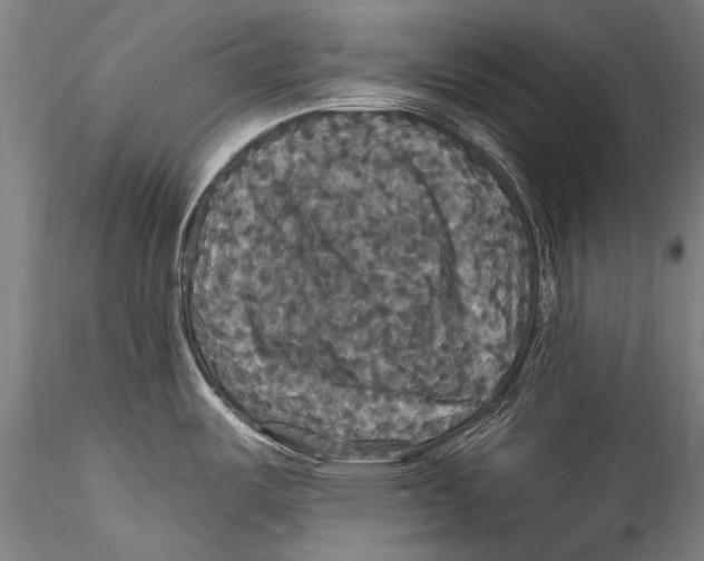 X0000115321487200911301547