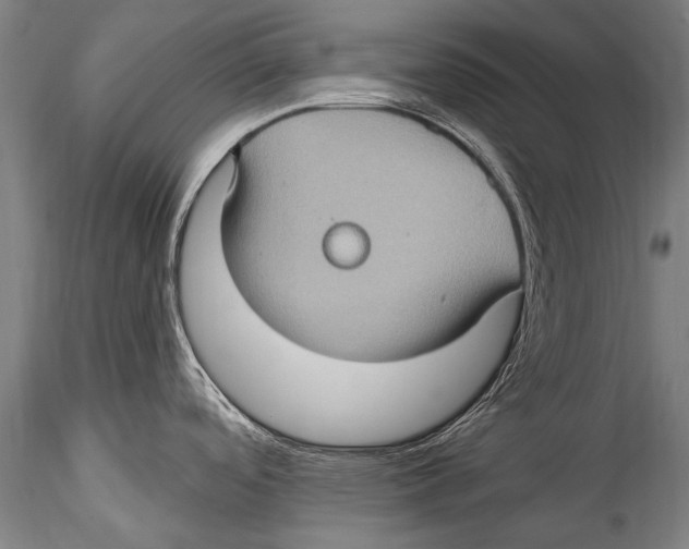 X0000115321488200911301547