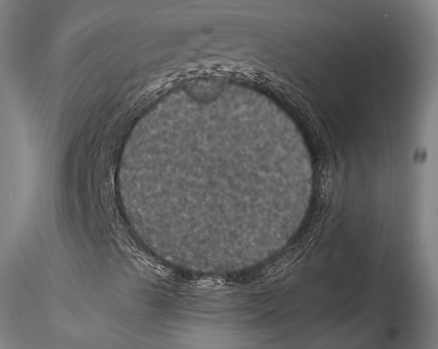 X0000115321489200911301546