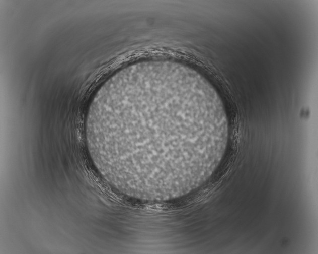 X0000115321490200911301546