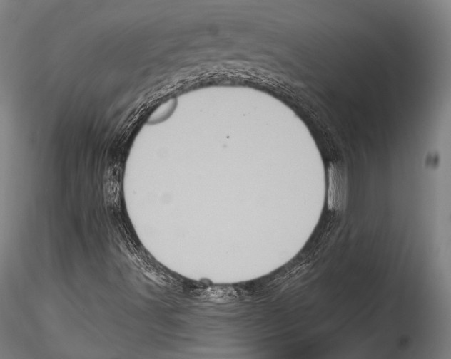 X0000115321491200911301546