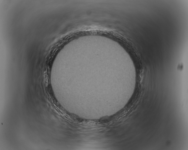 X0000115321493200911301546