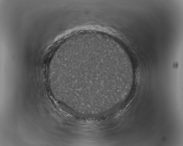 X0000115321494200911301546