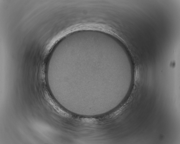 X0000115321498200911301546