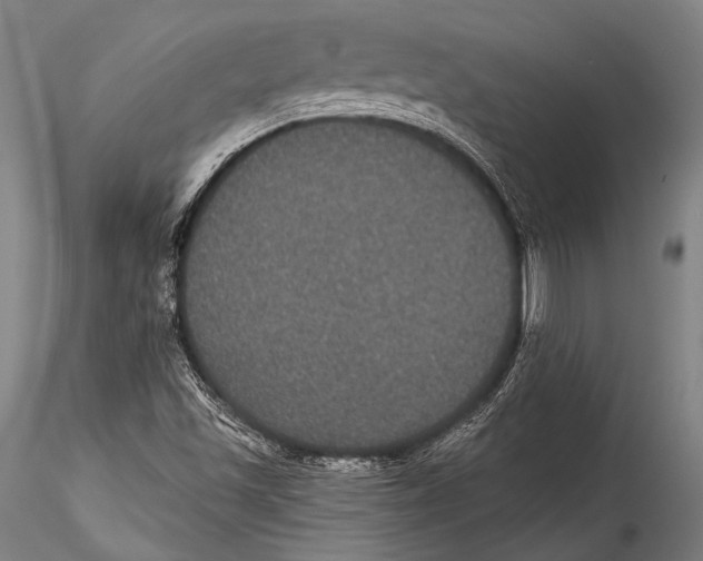 X0000115321501200911301546