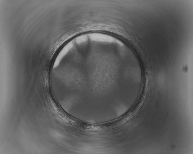 X0000115321505200911301546