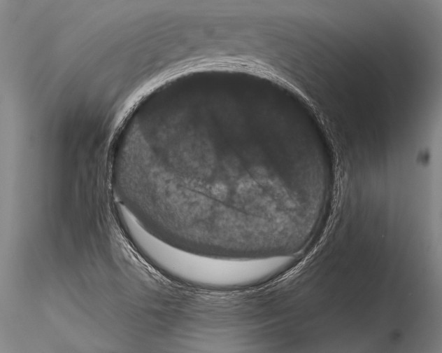 X0000115321506200911301546