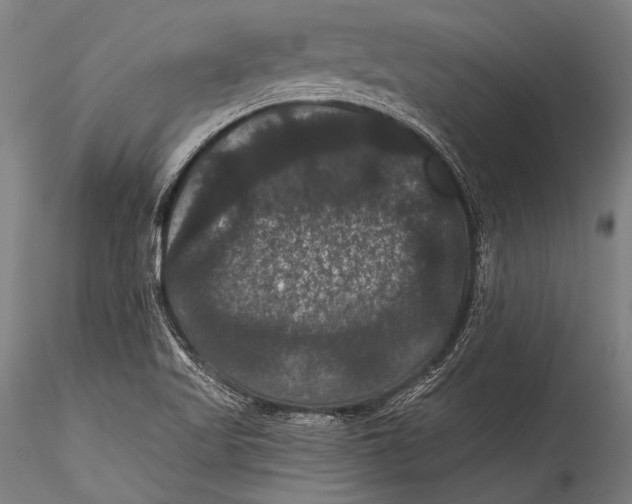 X0000115321509200911301546