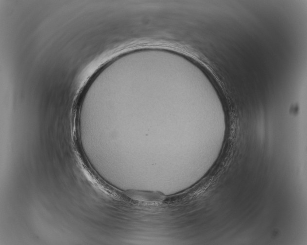 X0000115321511200911301547