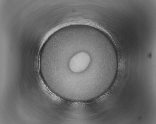 X0000115321514200911301547