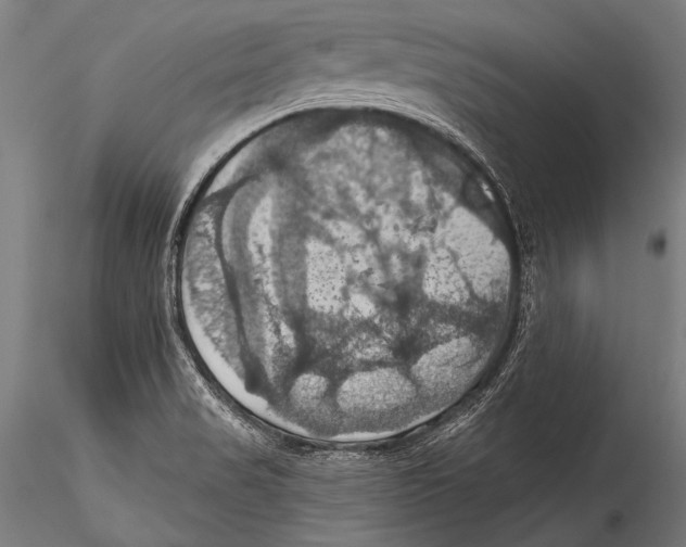 X0000115321517200911301547