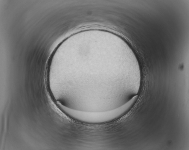 X0000115321518200911301547