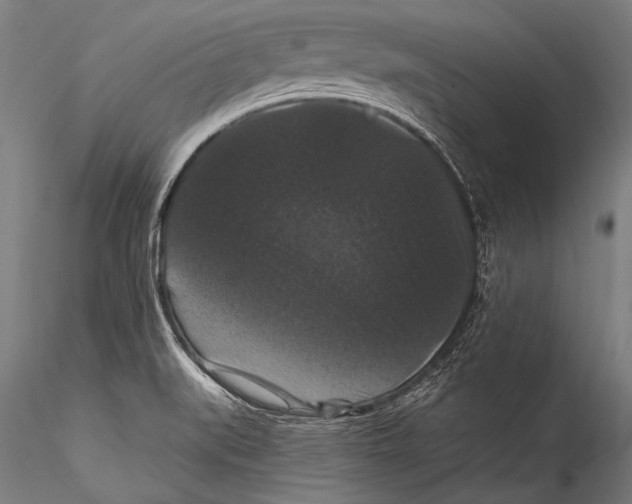 X0000115321519200911301547