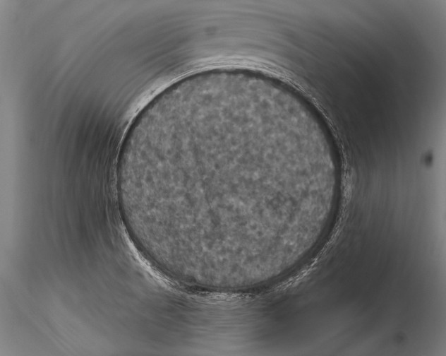 X0000115321521200911301547