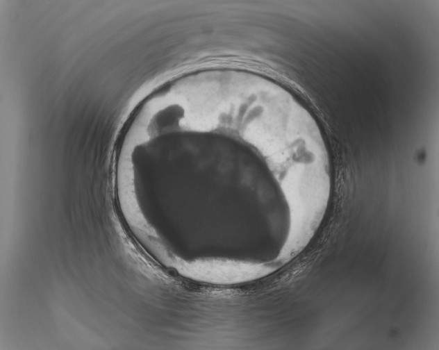 X0000115321522200911301547