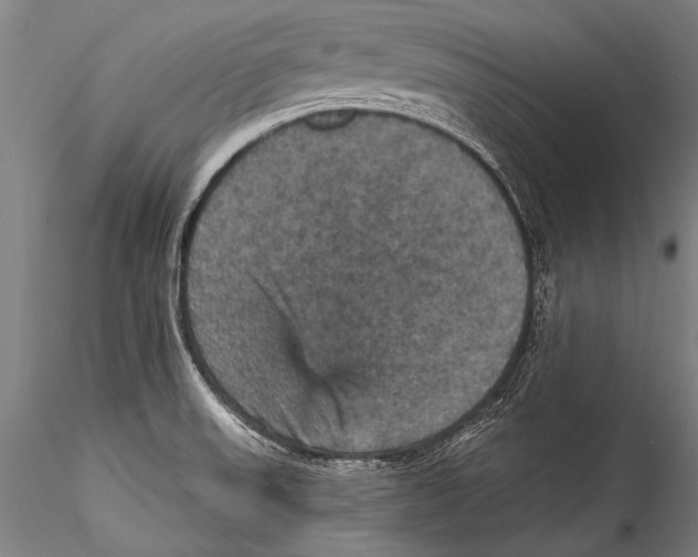 X0000115321523200911301547