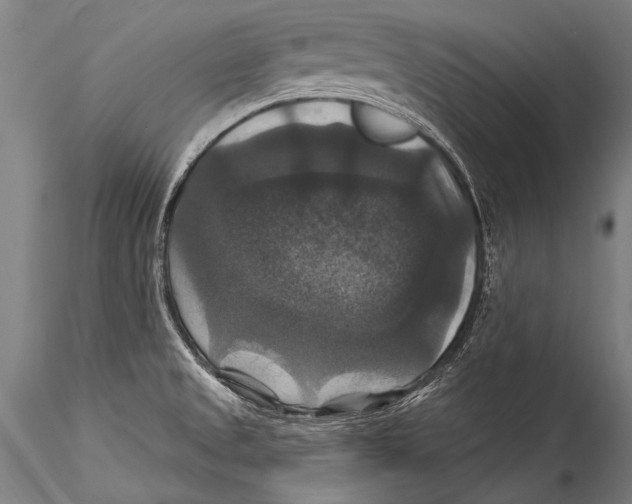 X0000115321525200911301547