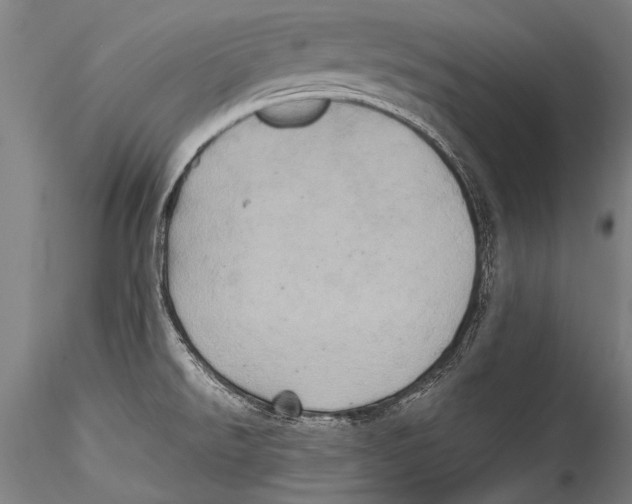 X0000115321526200911301547