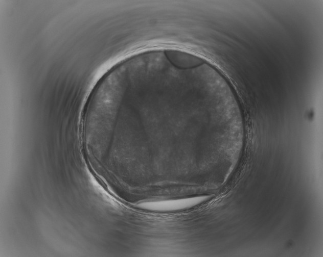 X0000115321527200911301547