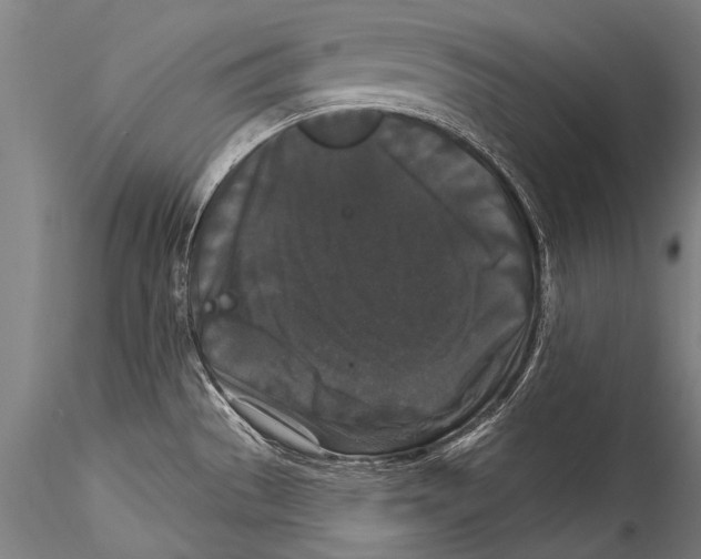 X0000115321529200911301547