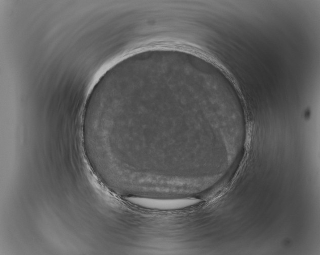 X0000115321530200911301547