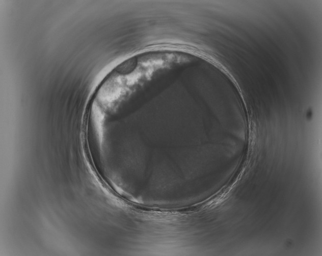 X0000115321533200911301547