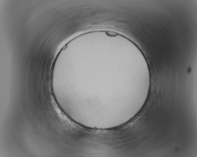 X0000115321534200911301547