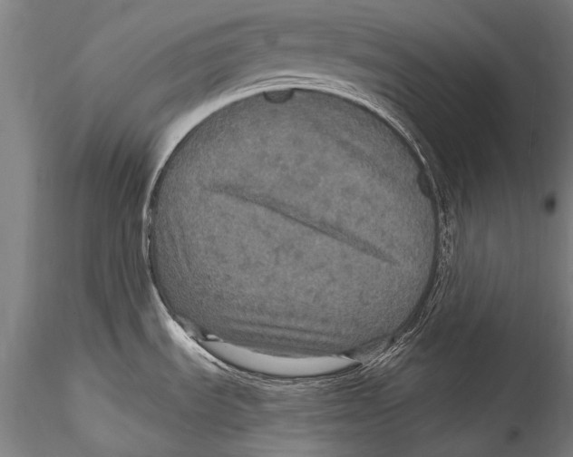 X0000115321535200911301547