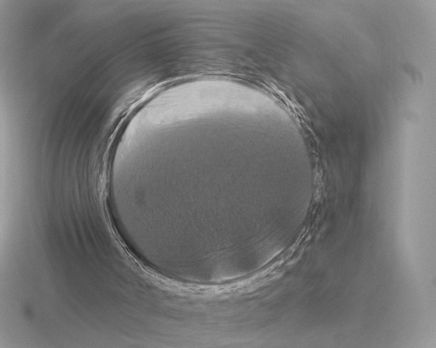 X0000115320002200912141208