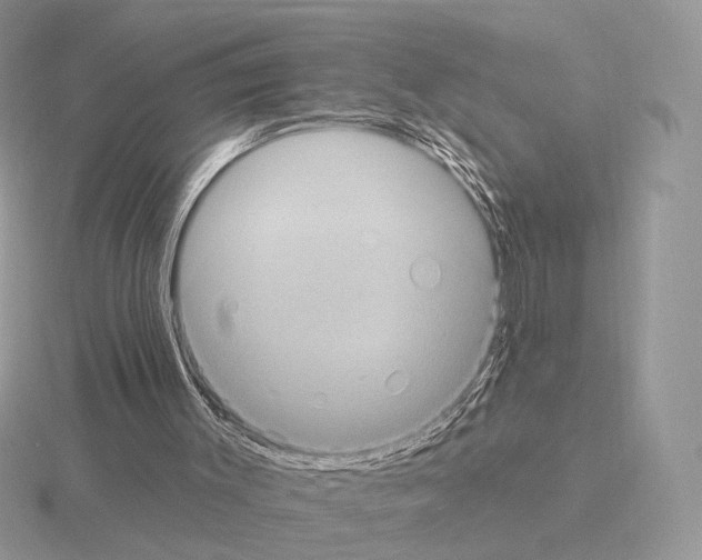 X0000115320003200912141208