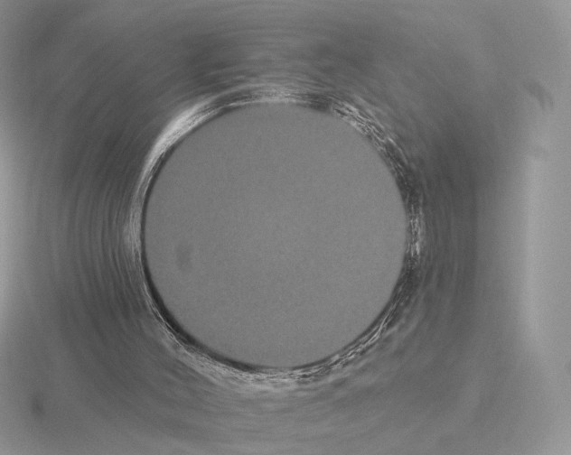 X0000115320004200912141208