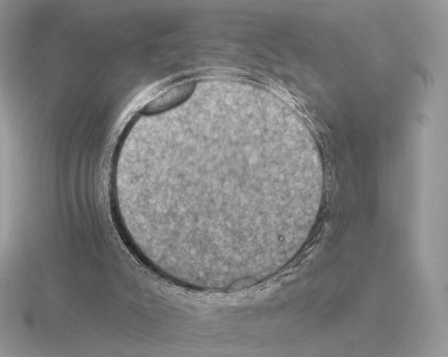 X0000115320007200912141208