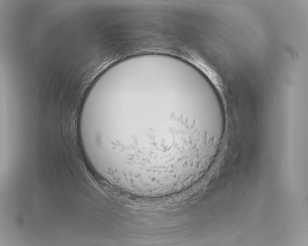 X0000115320009200912141208