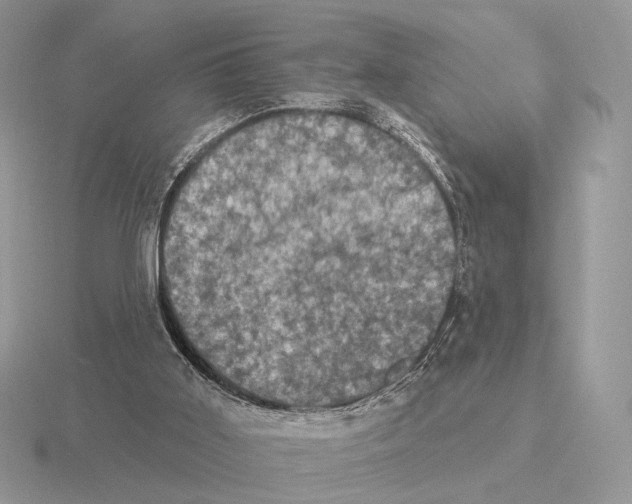 X0000115320011200912141208