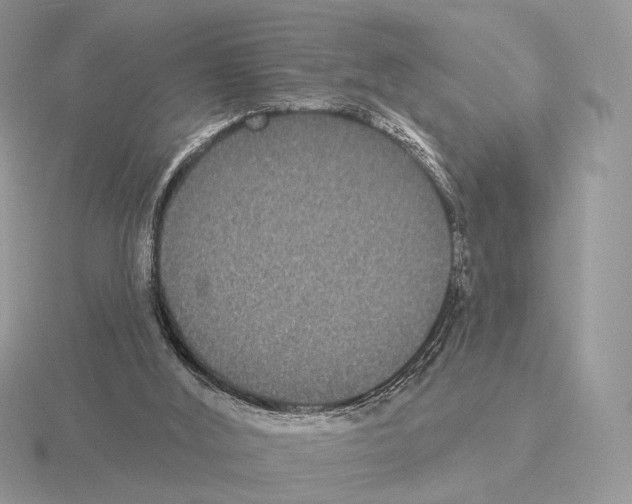 X0000115320012200912141208