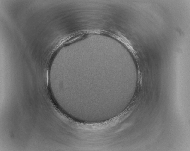 X0000115320013200912141208